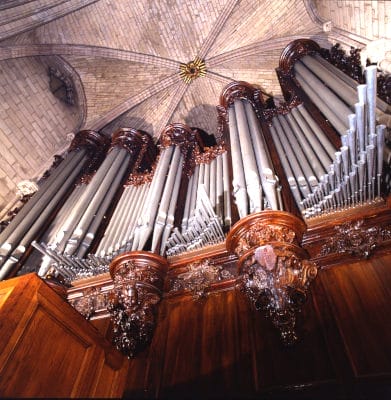 Vue des tuyeaux argentés du grand orgue de Notre-Dame